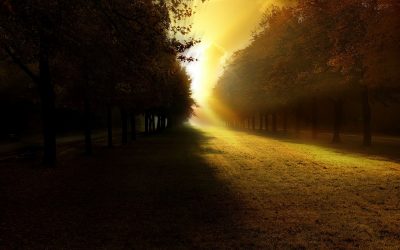 De la nuit à la lumière