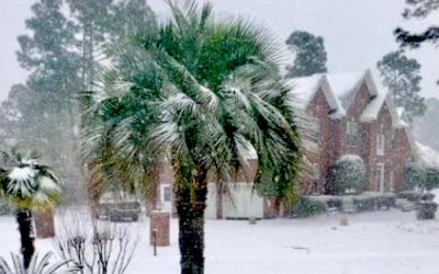 La neige de floride